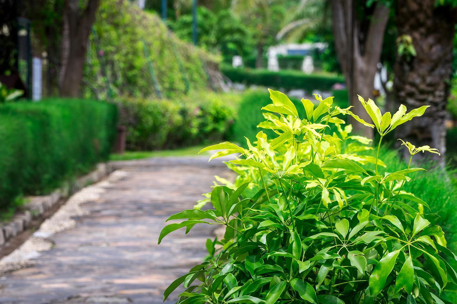 Romana Resort & Spa موي ني المظهر الخارجي الصورة
